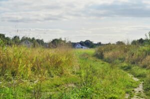 Canyon County, Idaho Agricultural Community Works to Preserve Farmland and Farming Heritage Amid Growing Pressure