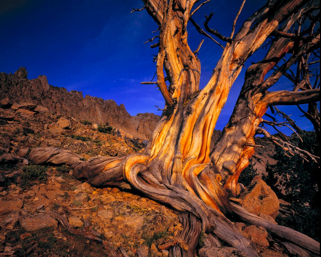 Idaho mountain wilderness